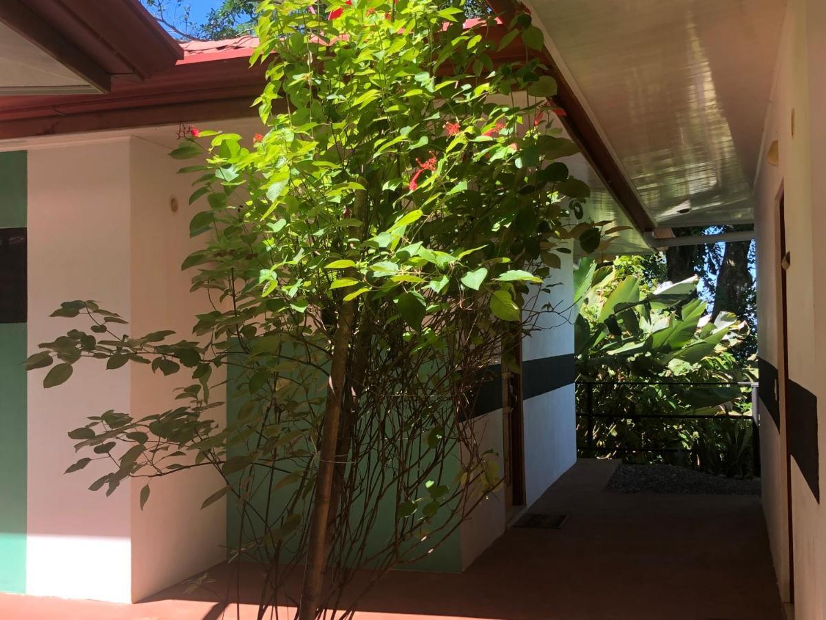 Casa del Toucan Dominical Exterior foto