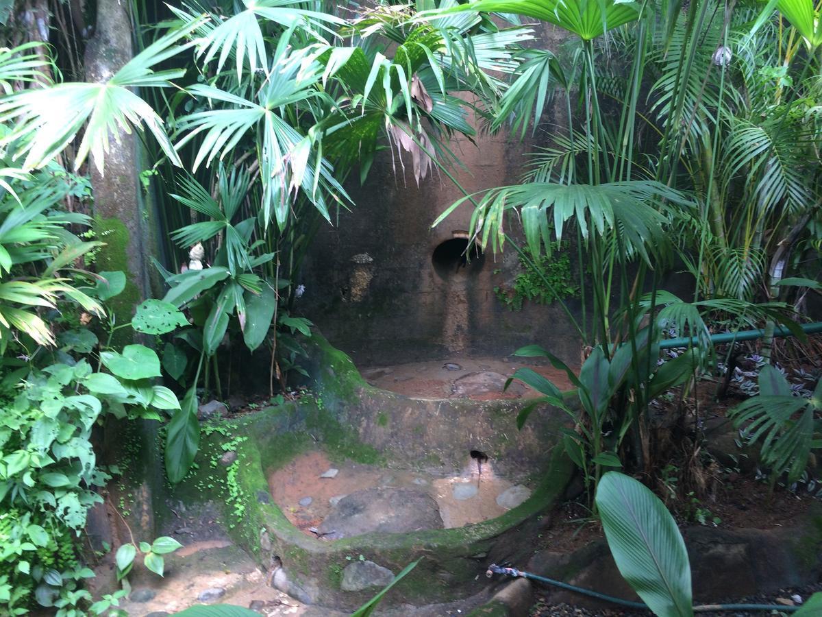 Casa del Toucan Dominical Exterior foto