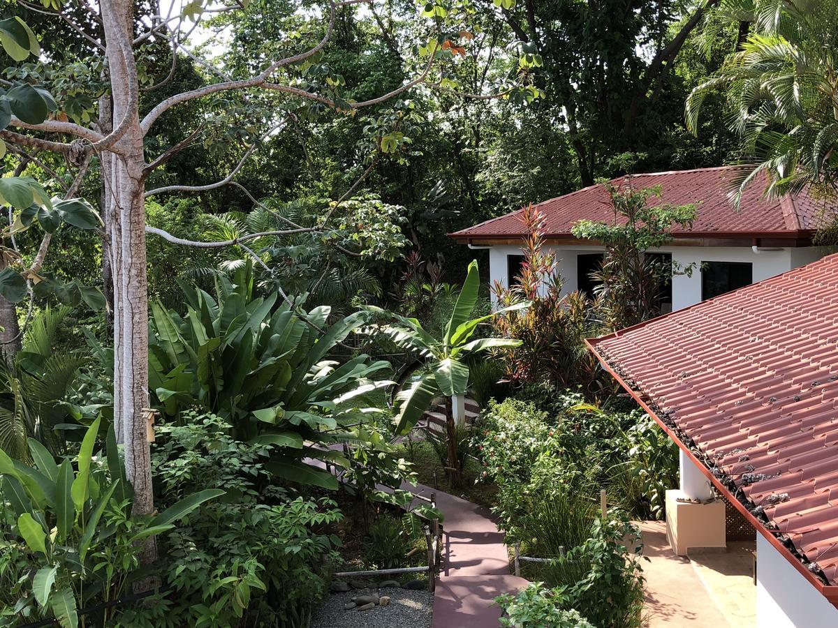 Casa del Toucan Dominical Exterior foto